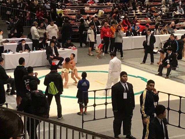 イメージ 5