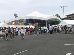 イメージ 7