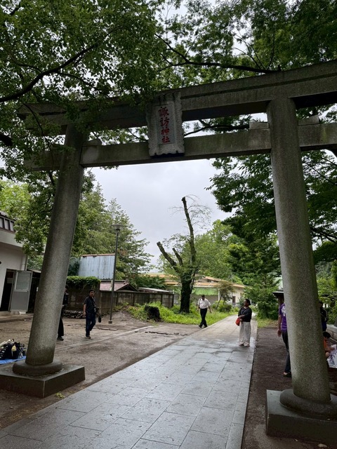 8.41