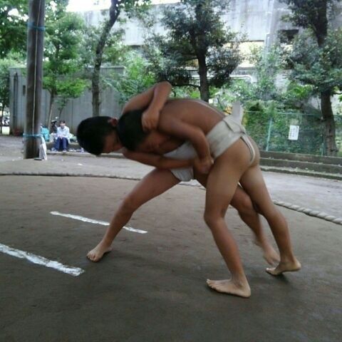 イメージ 6