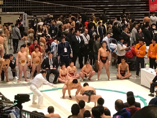 イメージ 8