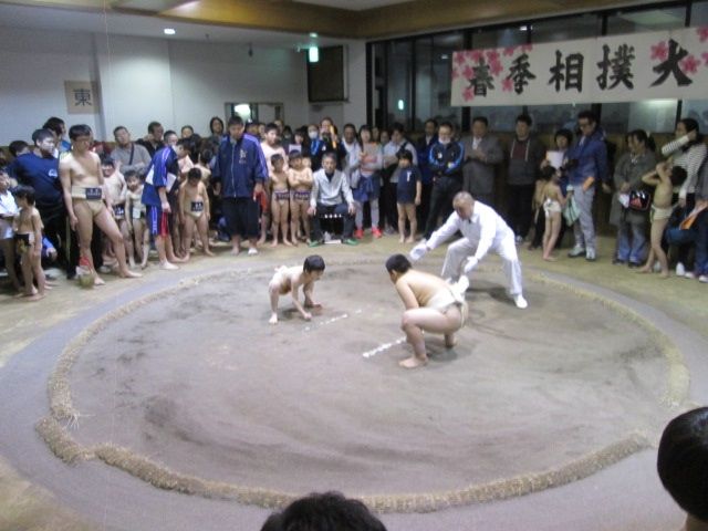 イメージ 5
