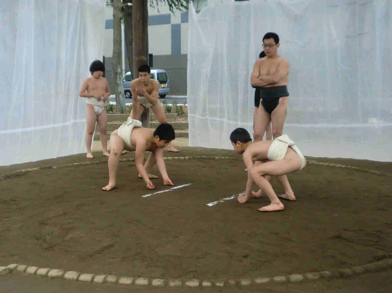 イメージ 7
