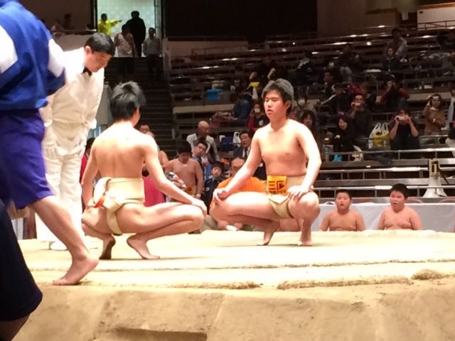 イメージ 12