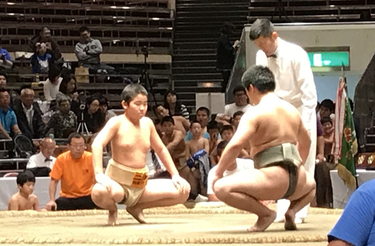 イメージ 7