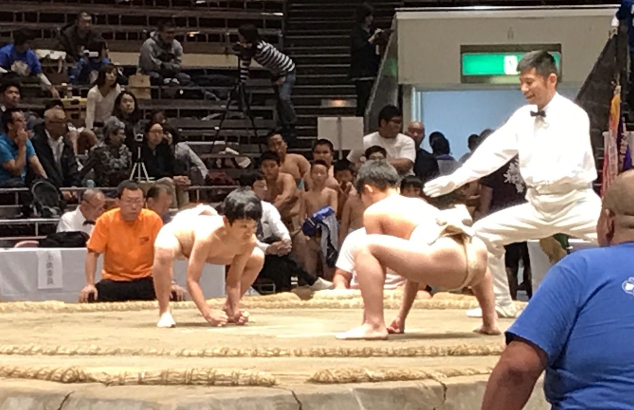 イメージ 6