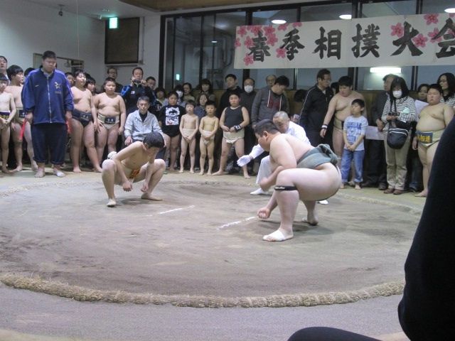 イメージ 9
