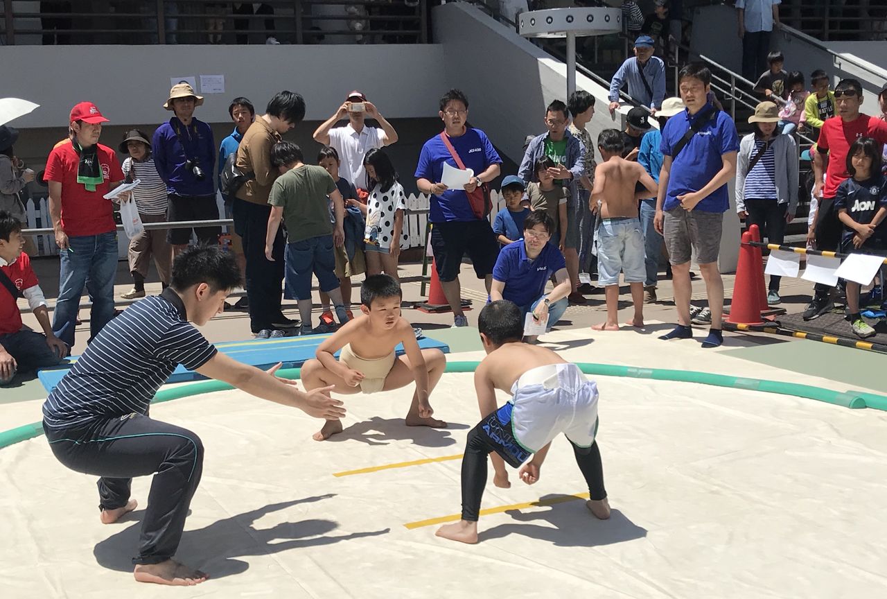 イメージ 6