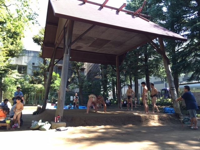 イメージ 8