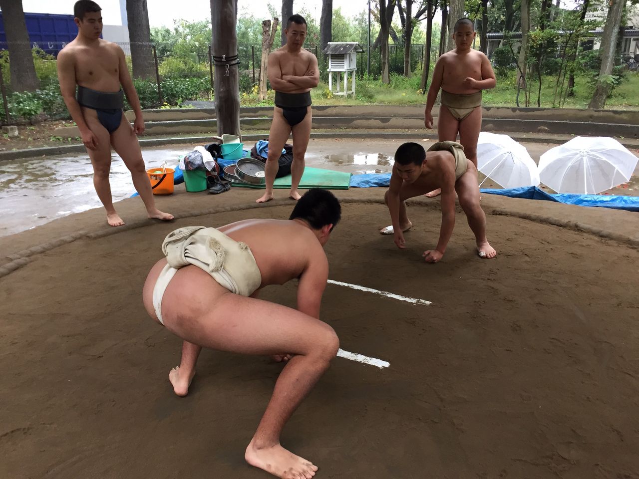 イメージ 6