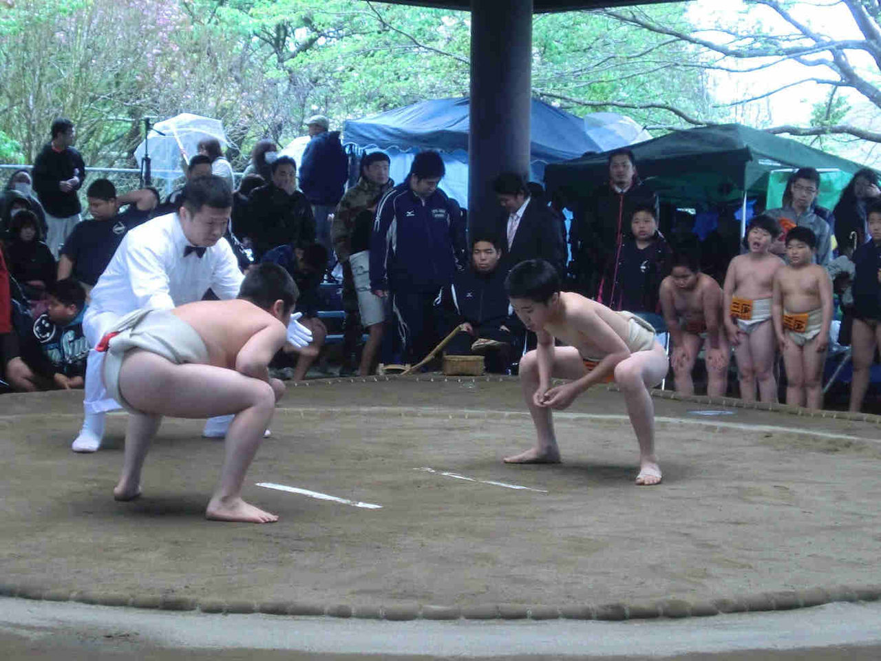 イメージ 10