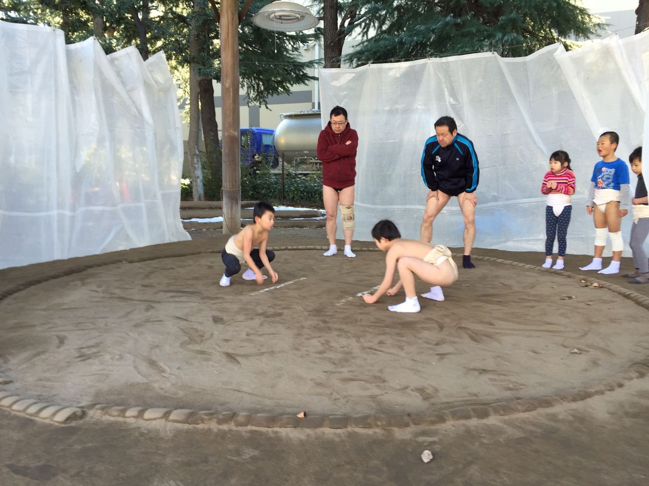 イメージ 5