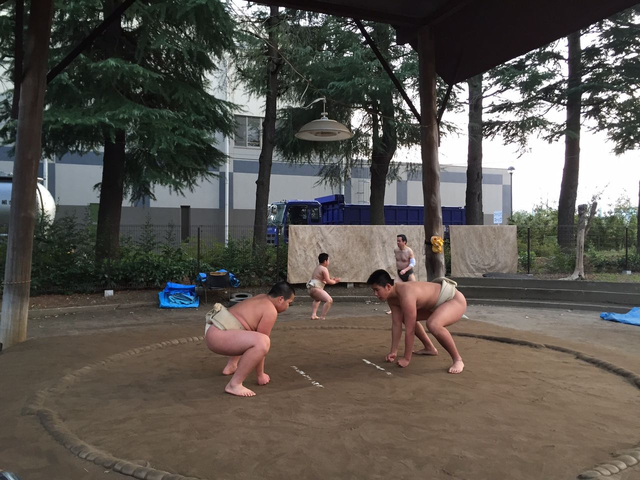 イメージ 5