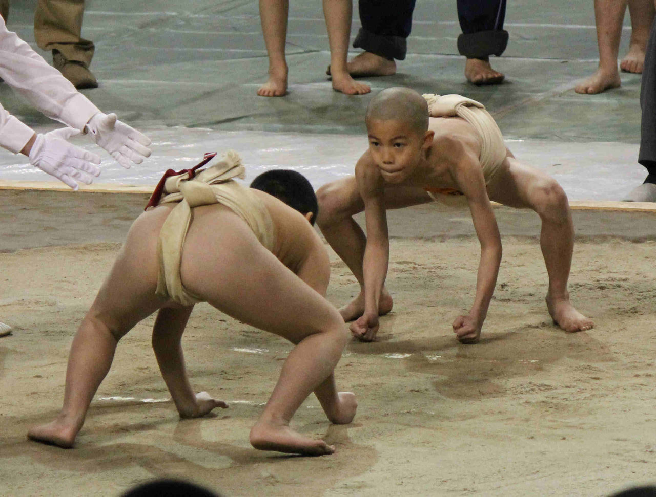 イメージ 3