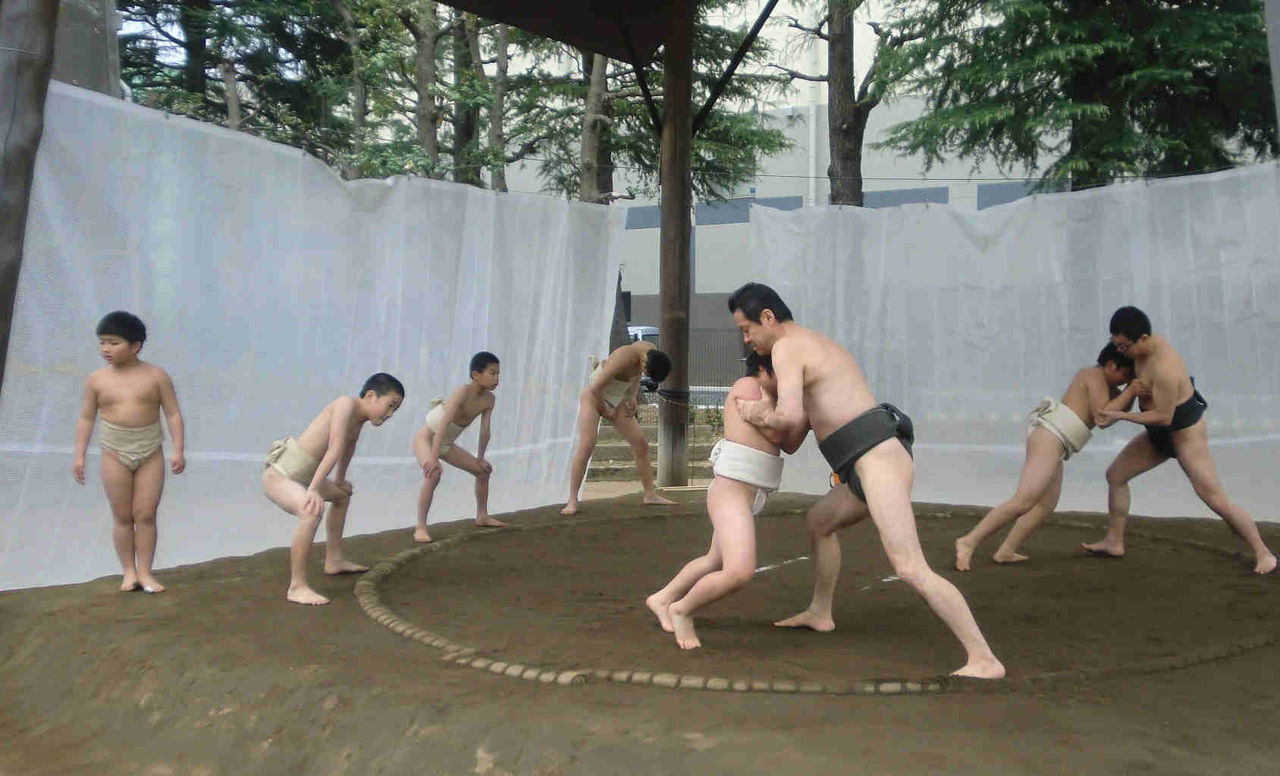 イメージ 5