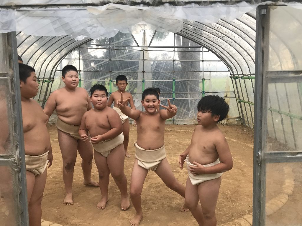 イメージ 7