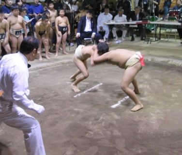 イメージ 8