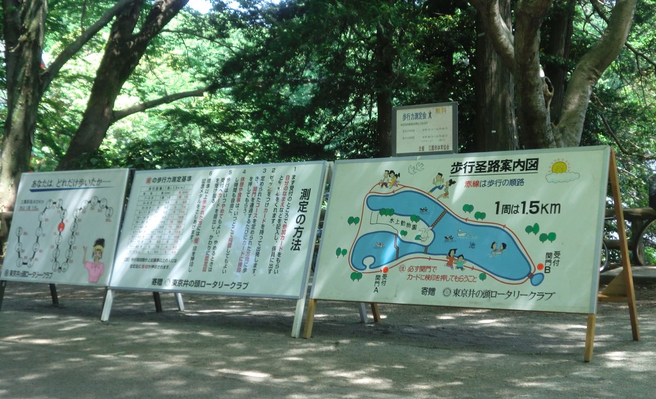 イメージ 4