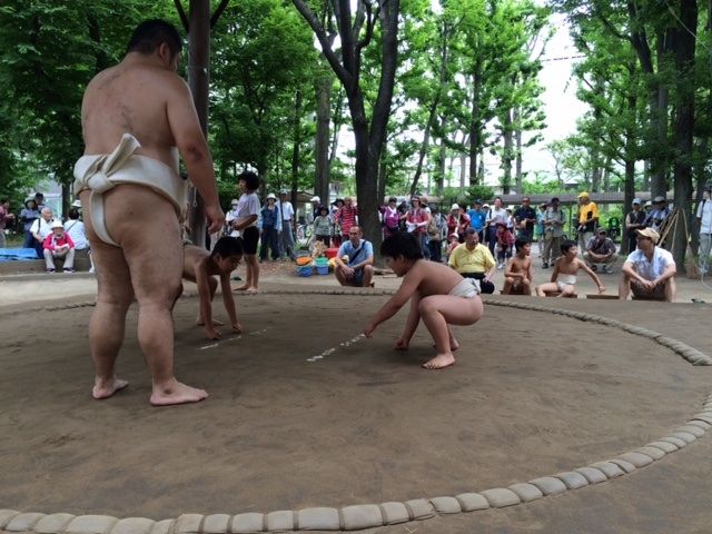 イメージ 6