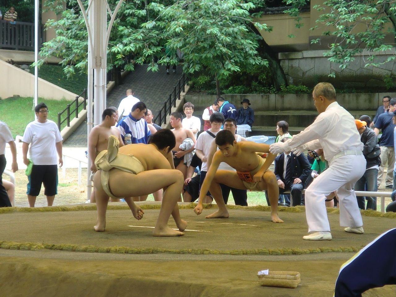 イメージ 5