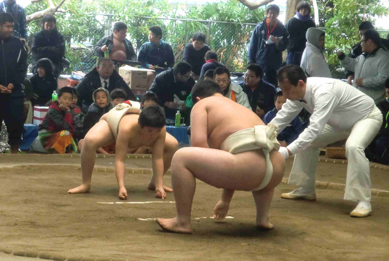 イメージ 11