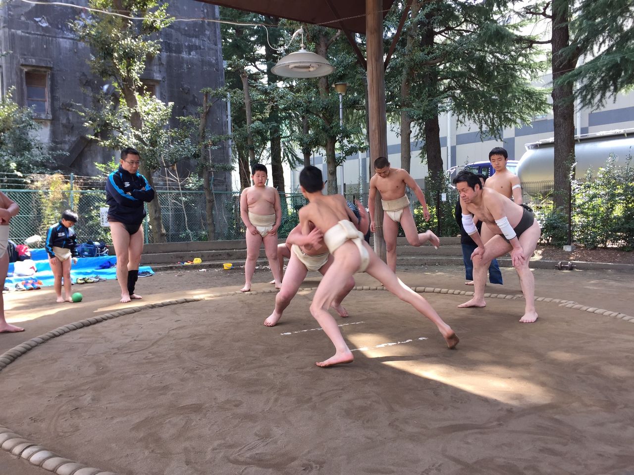 イメージ 5