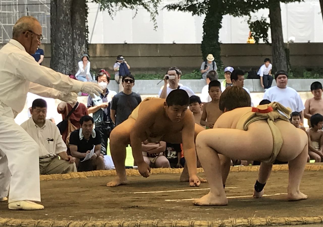 イメージ 7