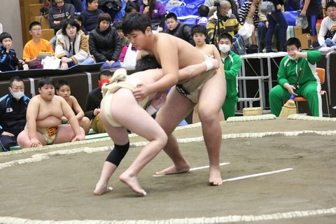 line_129210286004353
