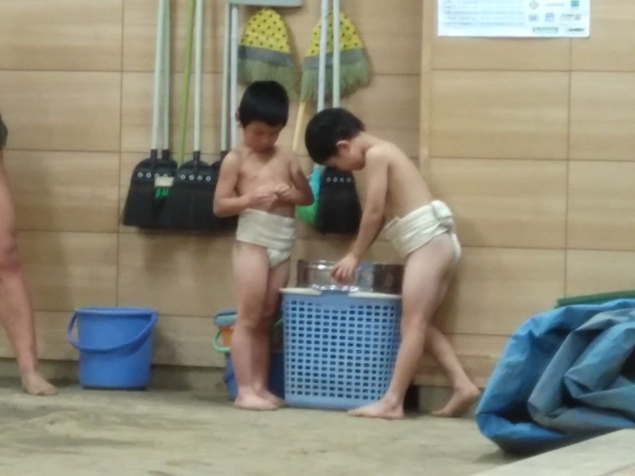 イメージ 6