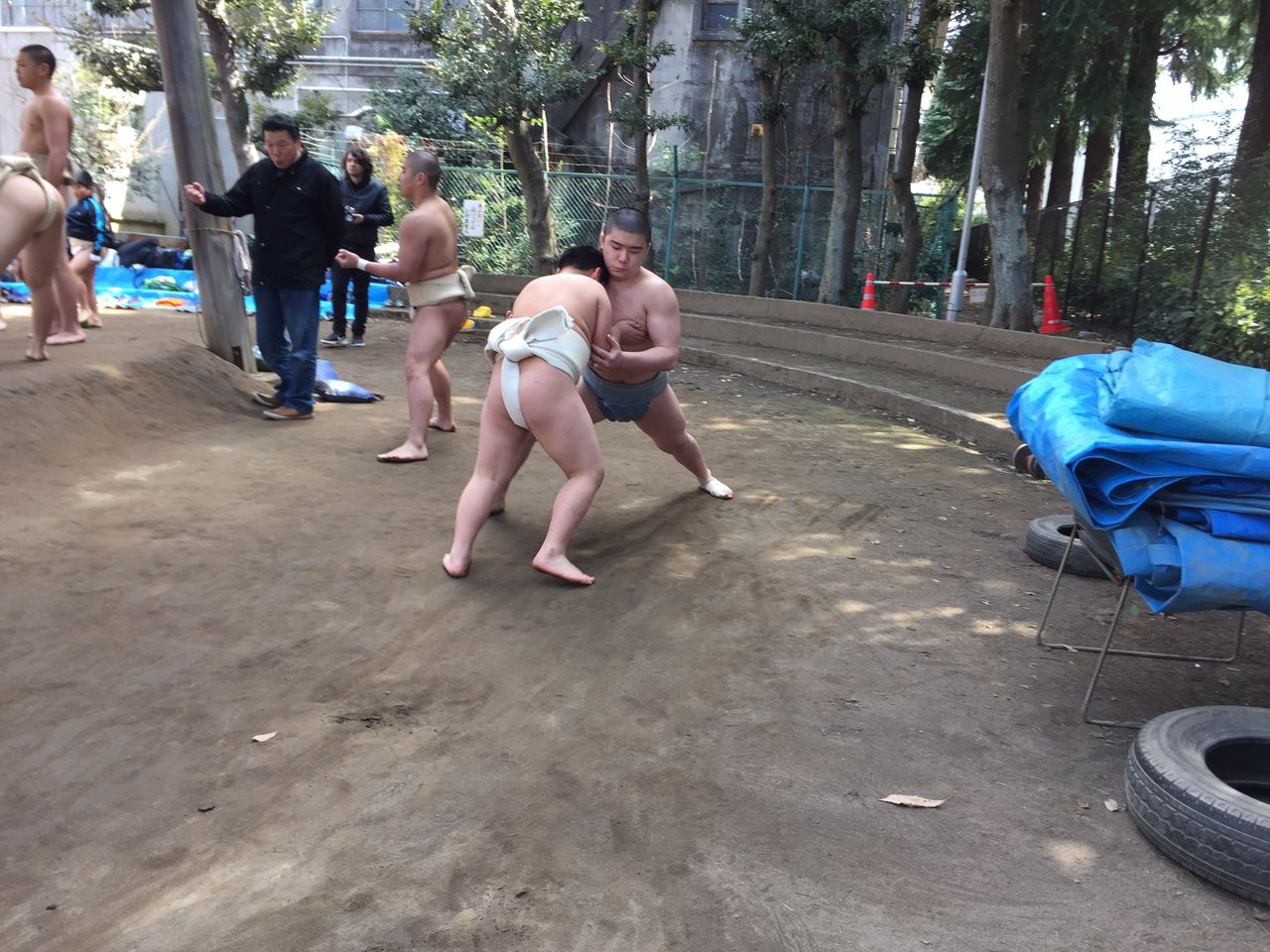 イメージ 11