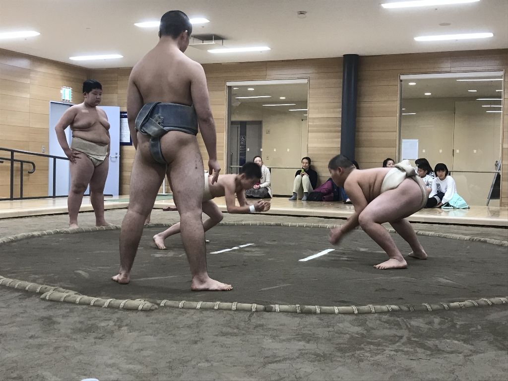 イメージ 8