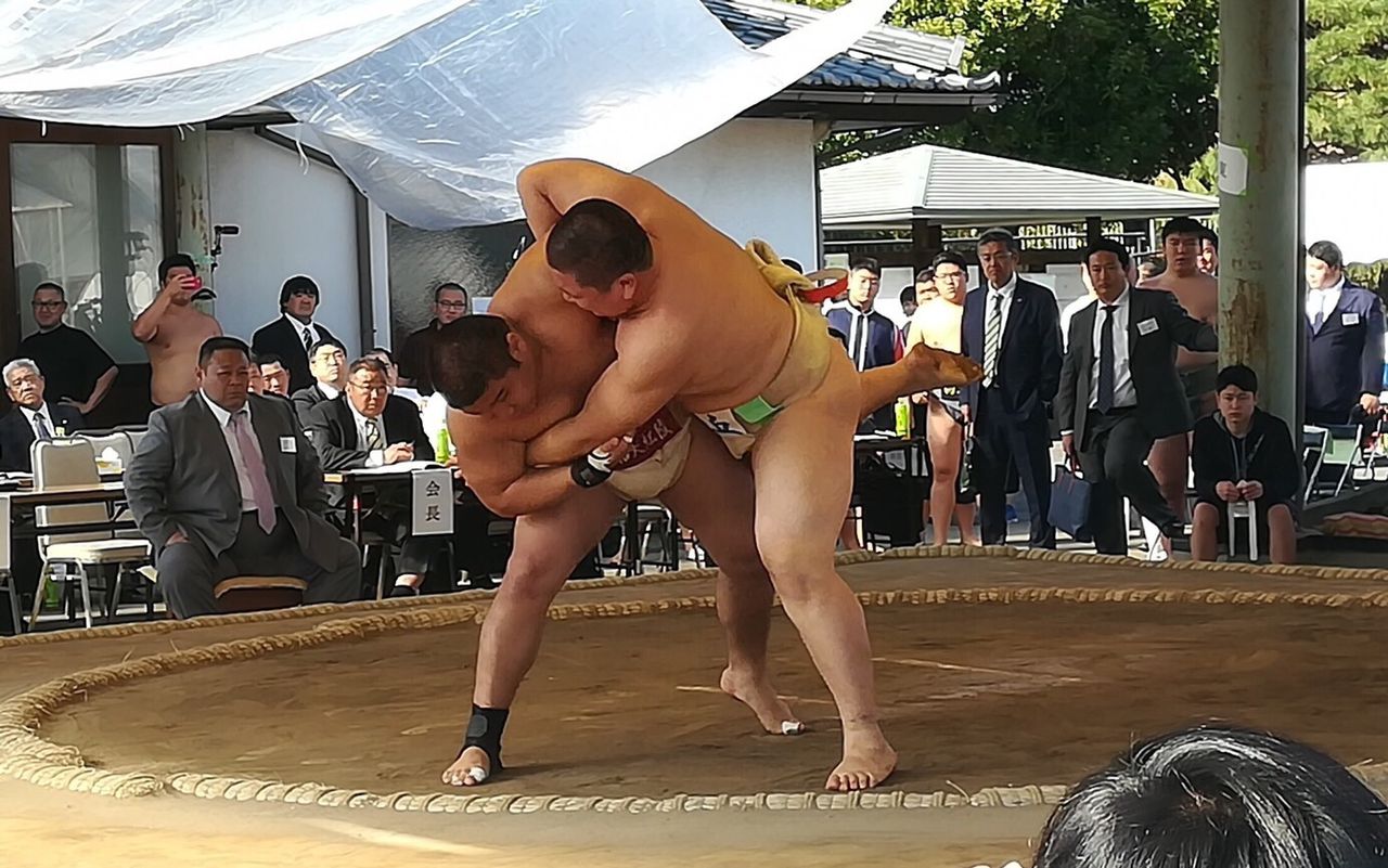 イメージ 2