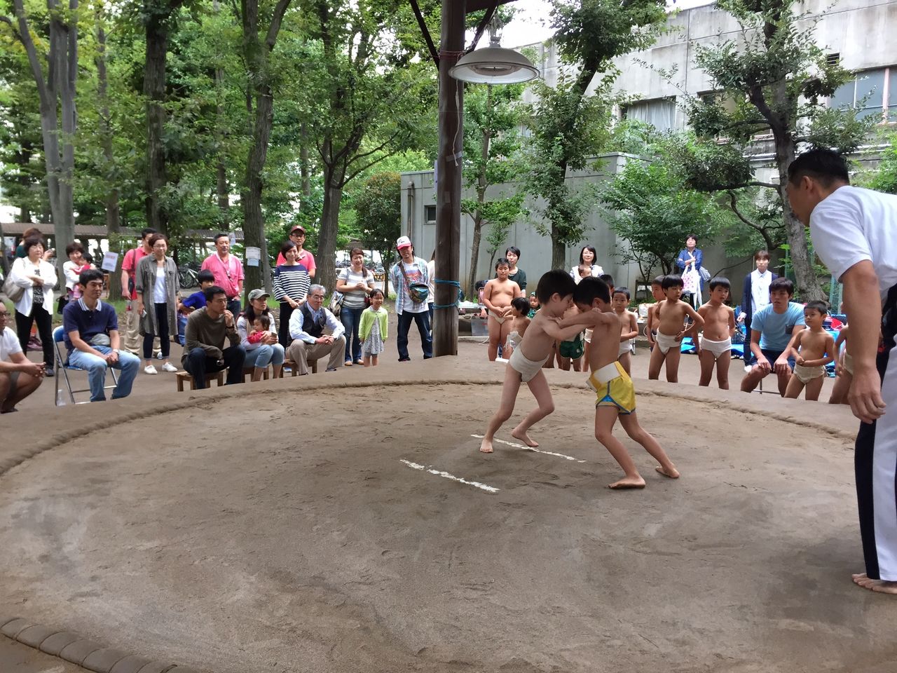イメージ 6