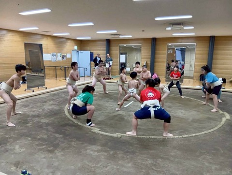 2体操四股股割2