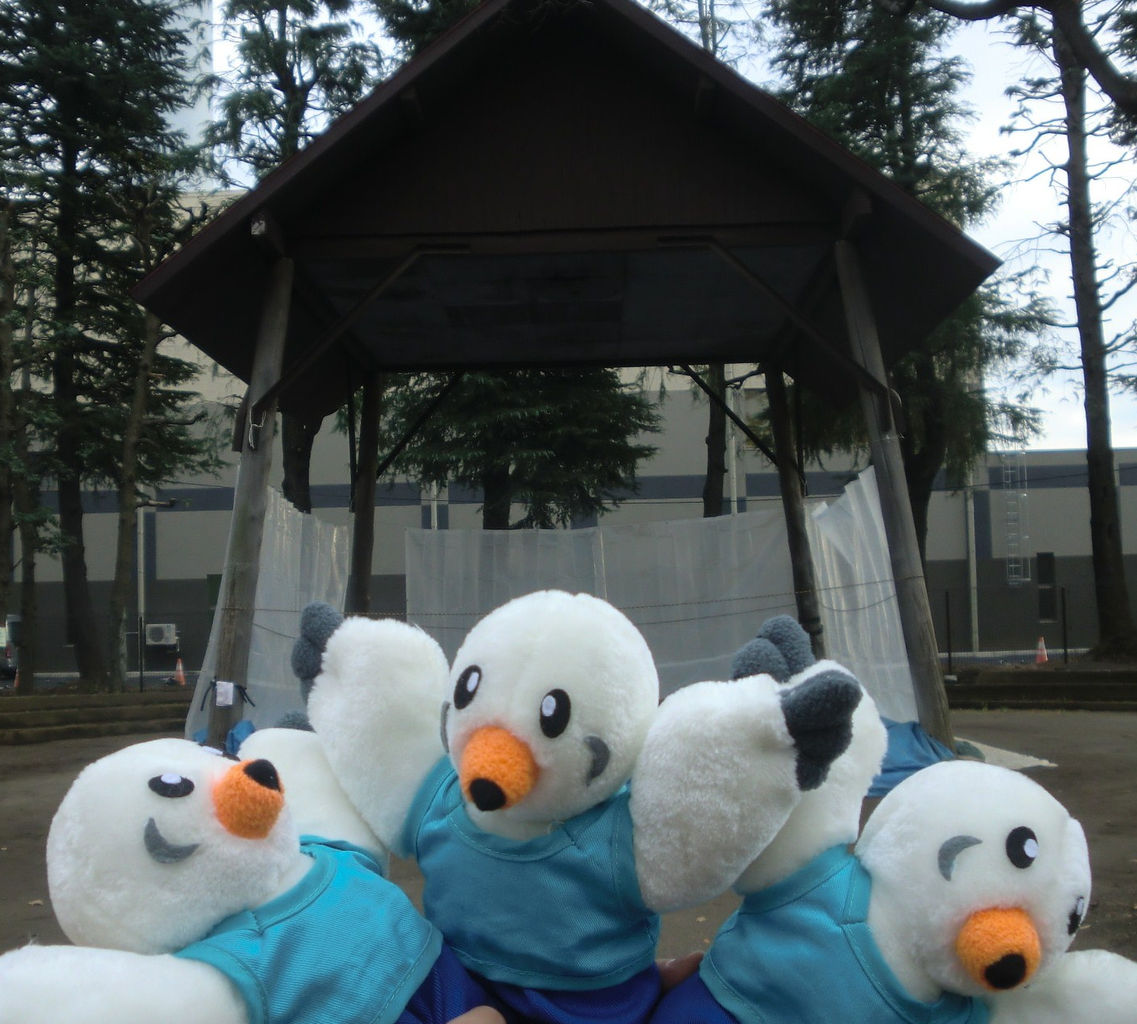 イメージ 1