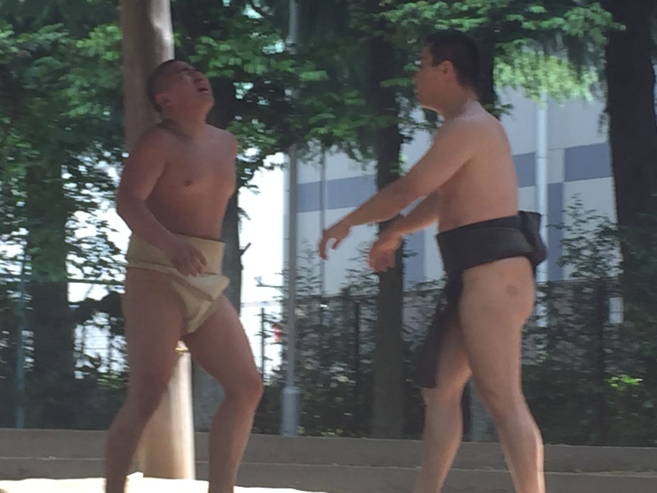 イメージ 2