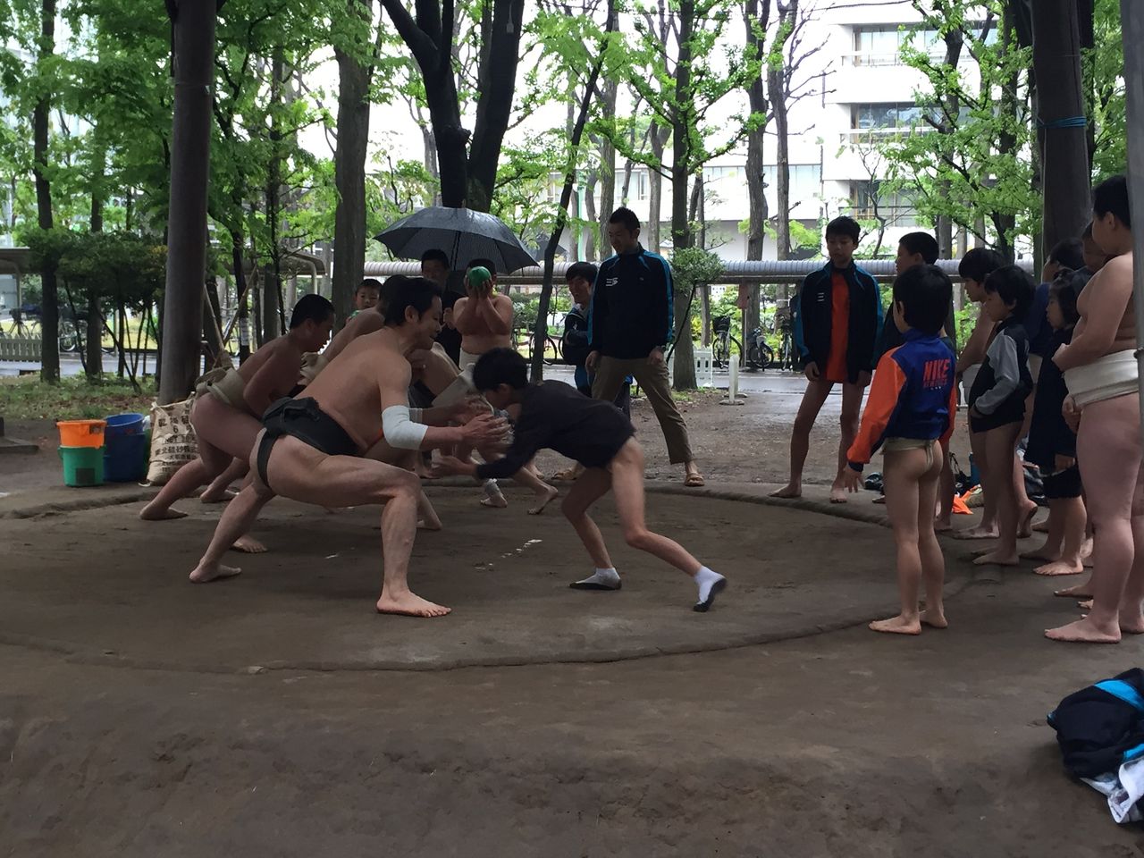 イメージ 3