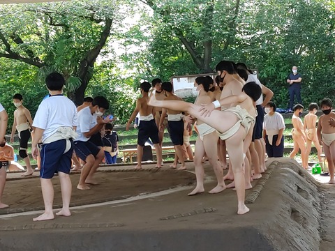 IMG01808