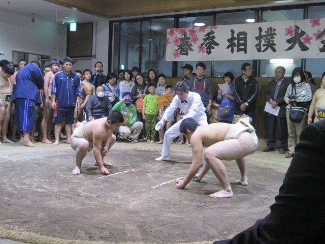 イメージ 8