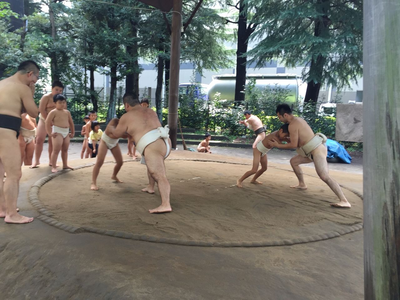 イメージ 5