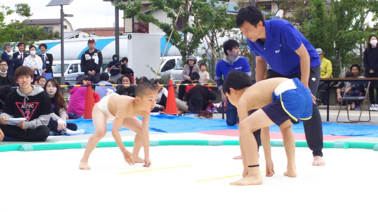 イメージ 6