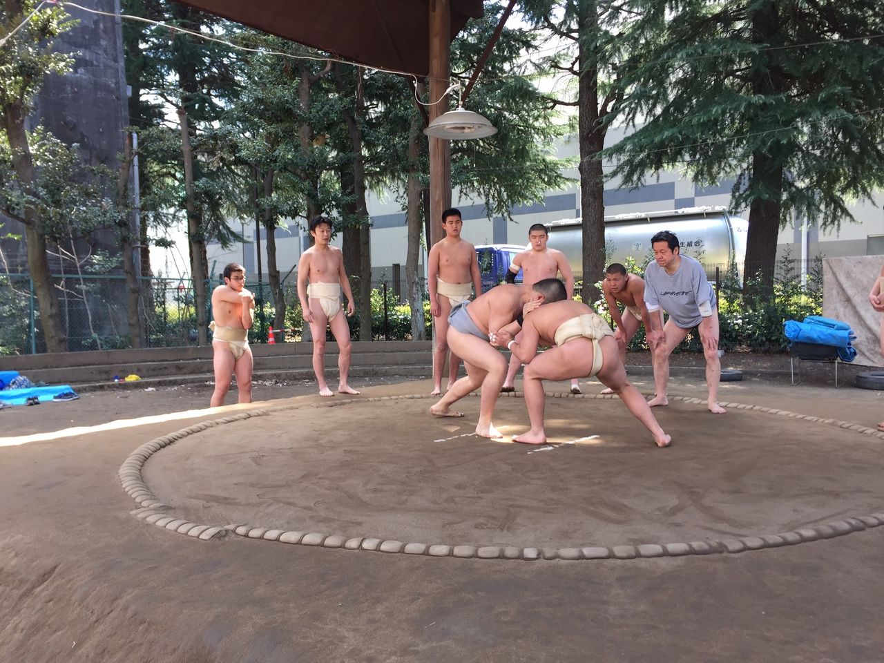 イメージ 7