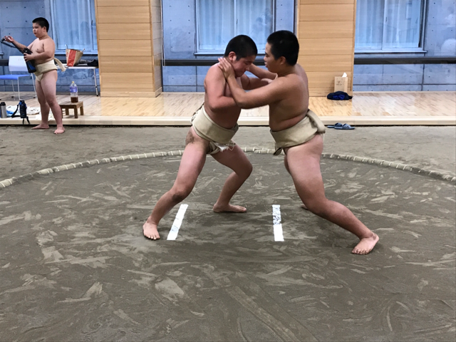 イメージ 6