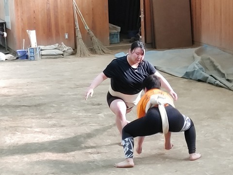 IMG05248