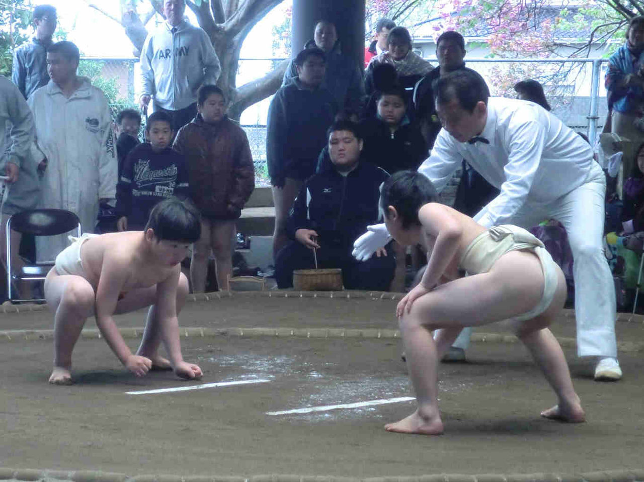 イメージ 7