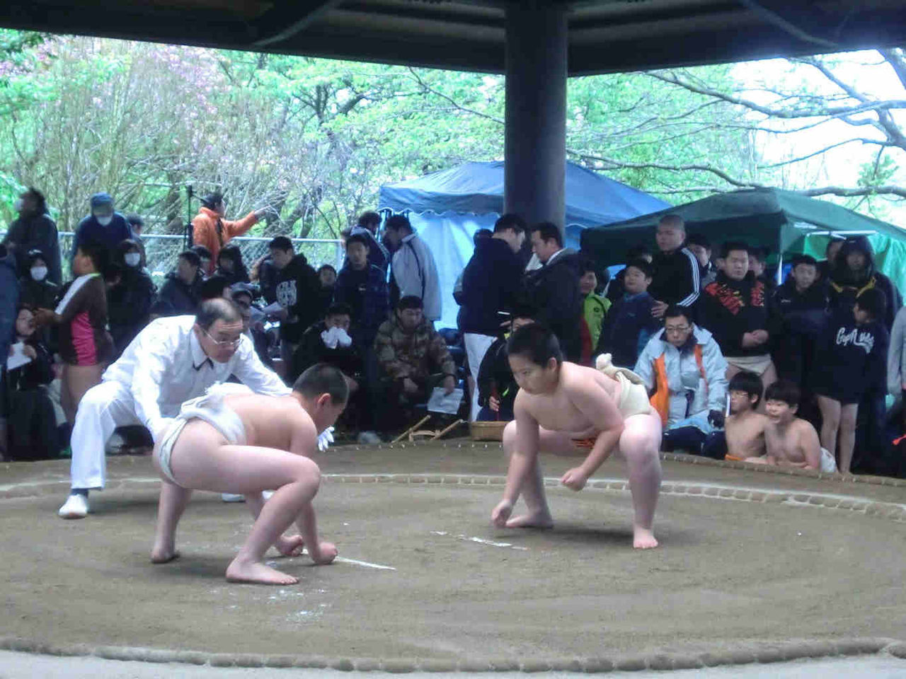イメージ 8