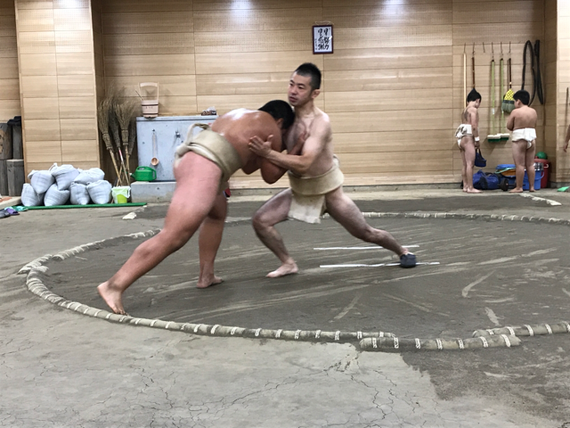 イメージ 7