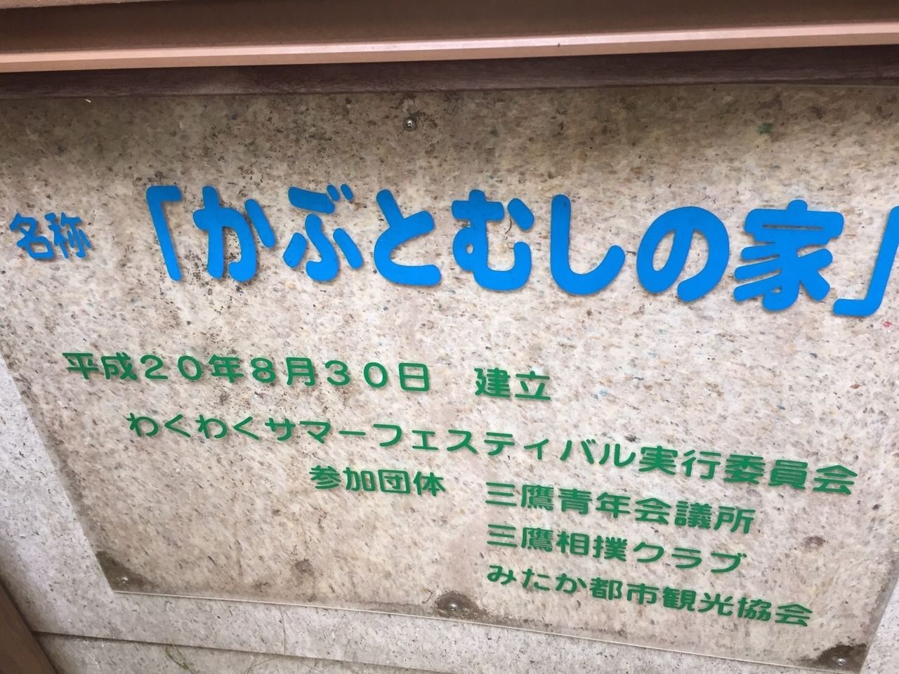 イメージ 6