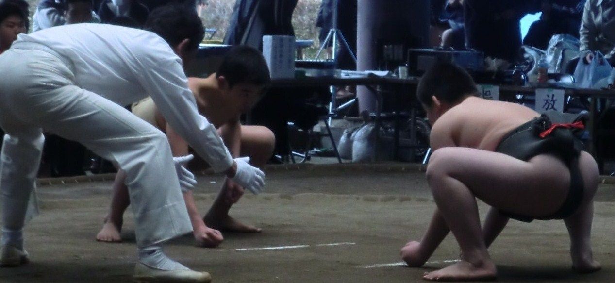 イメージ 7