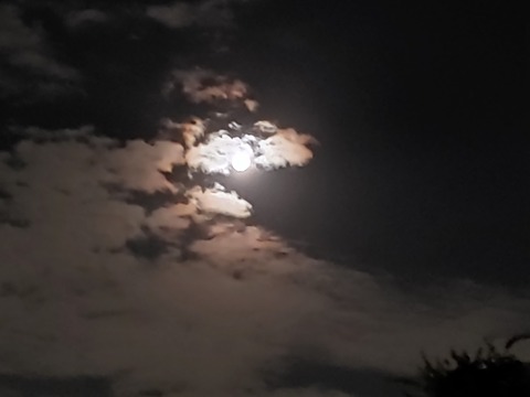 IMG02863_HDR